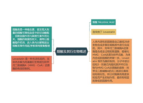 烟酸及其衍生物概述