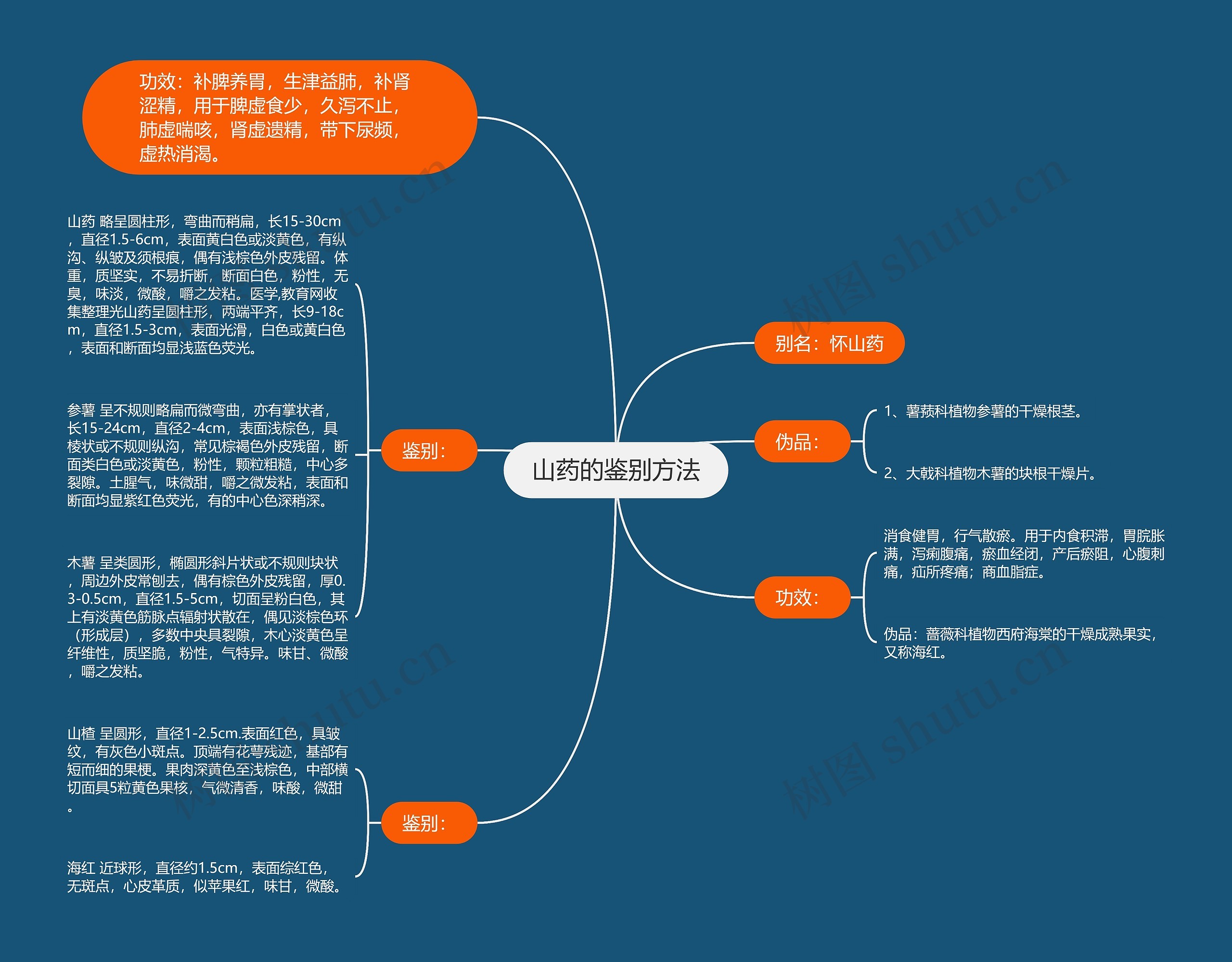 山药的鉴别方法思维导图