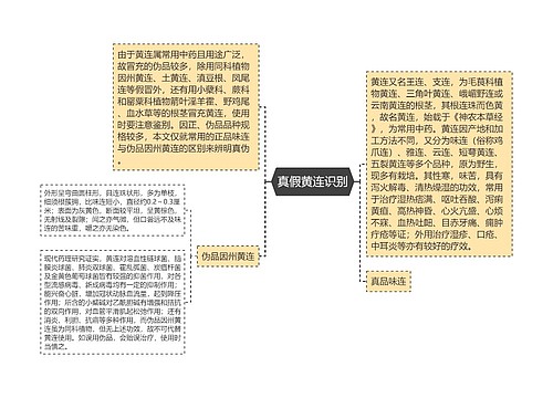 真假黄连识别