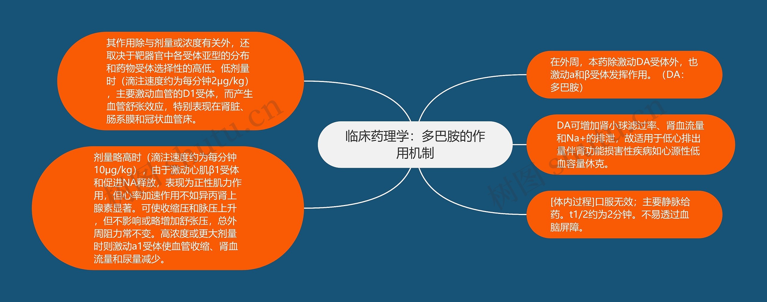 临床药理学：多巴胺的作用机制思维导图