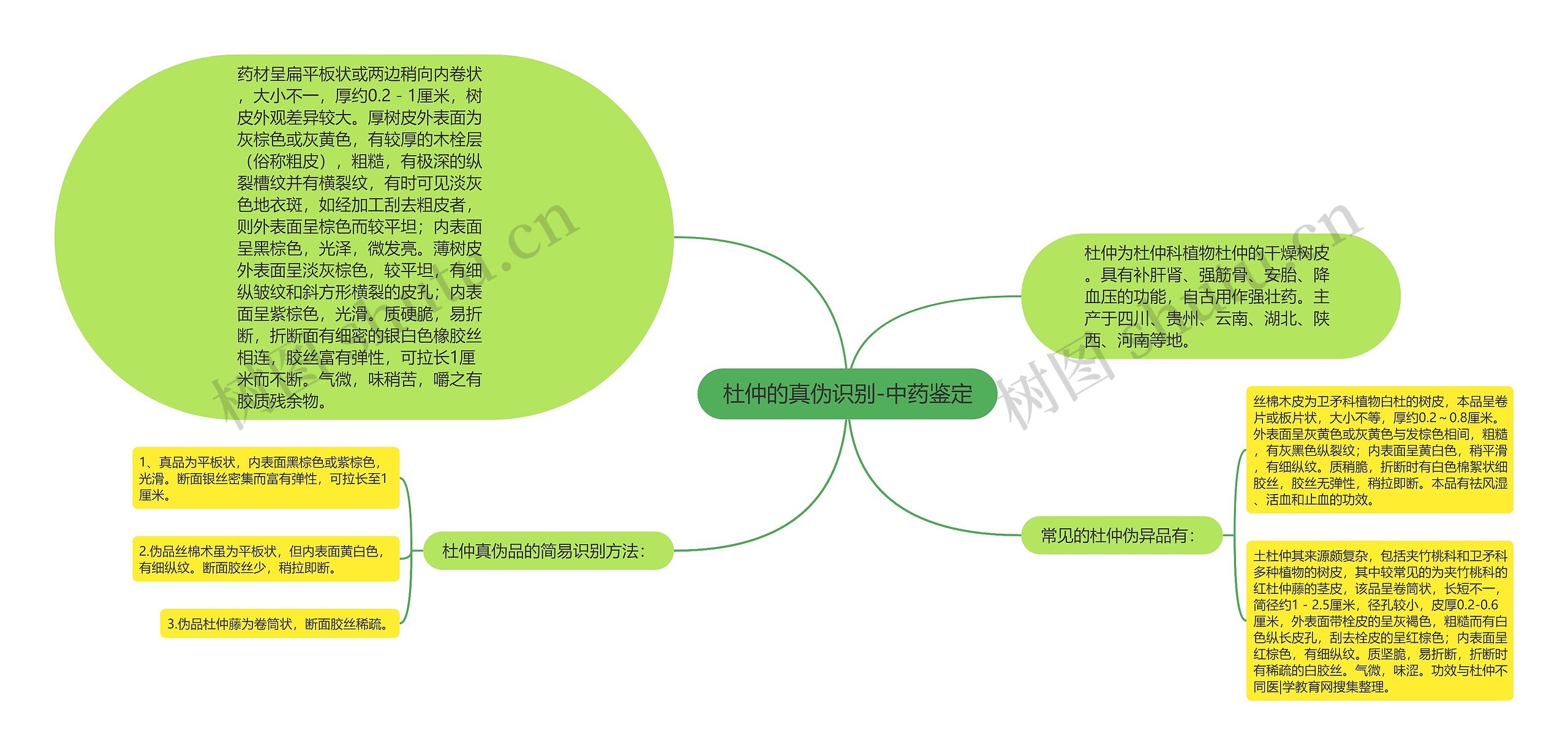 杜仲的真伪识别-中药鉴定 杜仲的真伪识别-中药鉴定