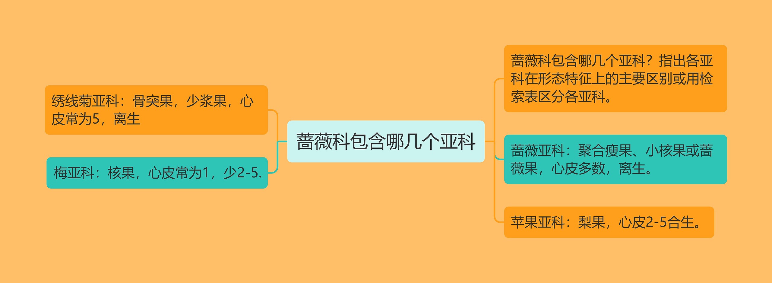 蔷薇科包含哪几个亚科思维导图