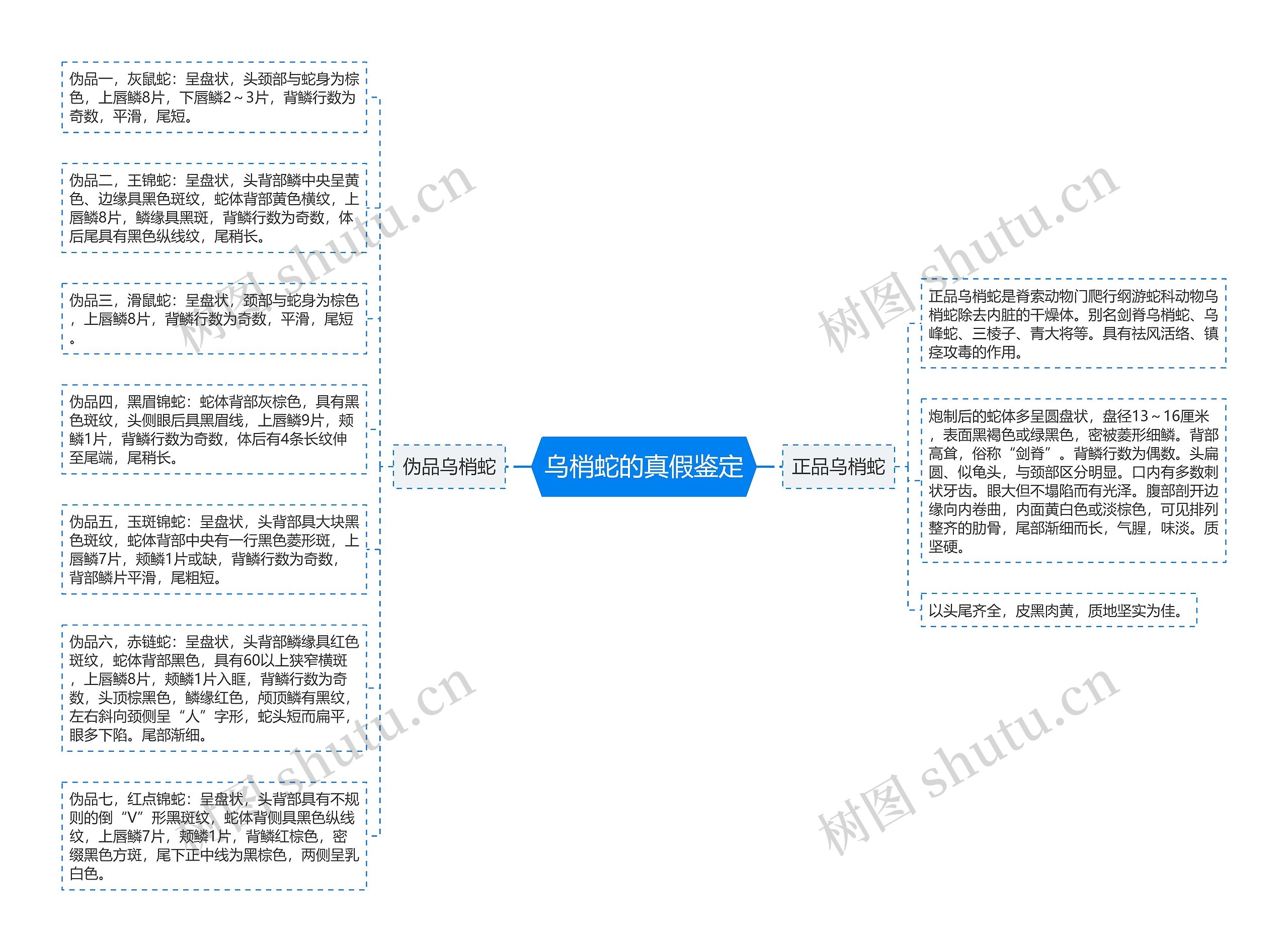 乌梢蛇的真假鉴定思维导图