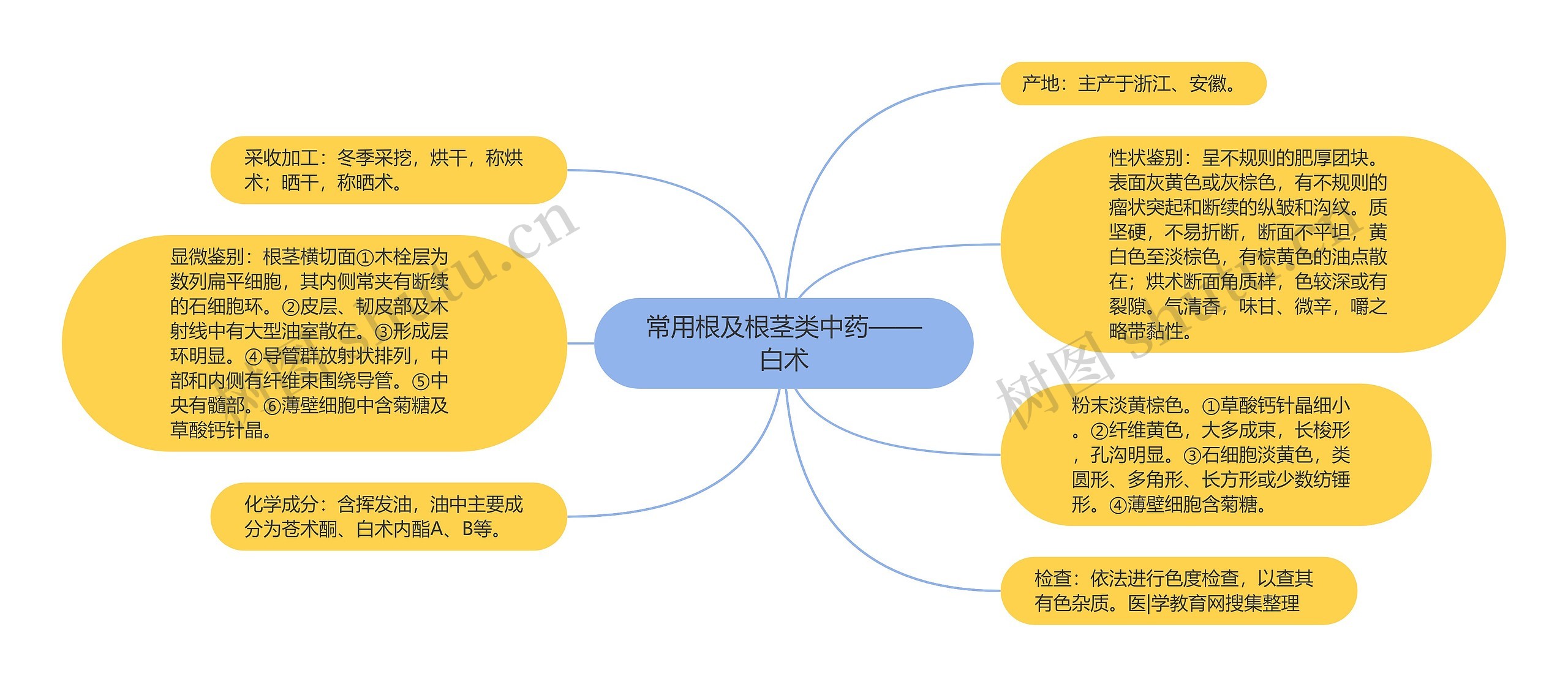 常用根及根茎类中药——白术