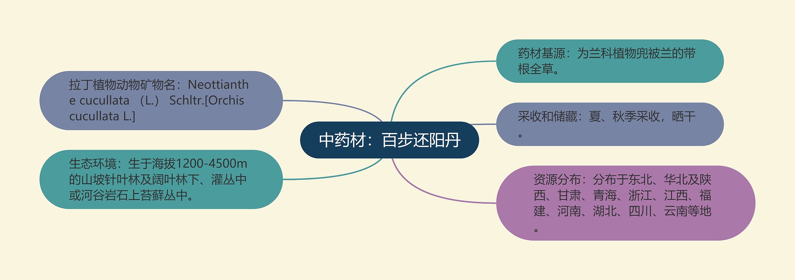 中药材：百步还阳丹思维导图