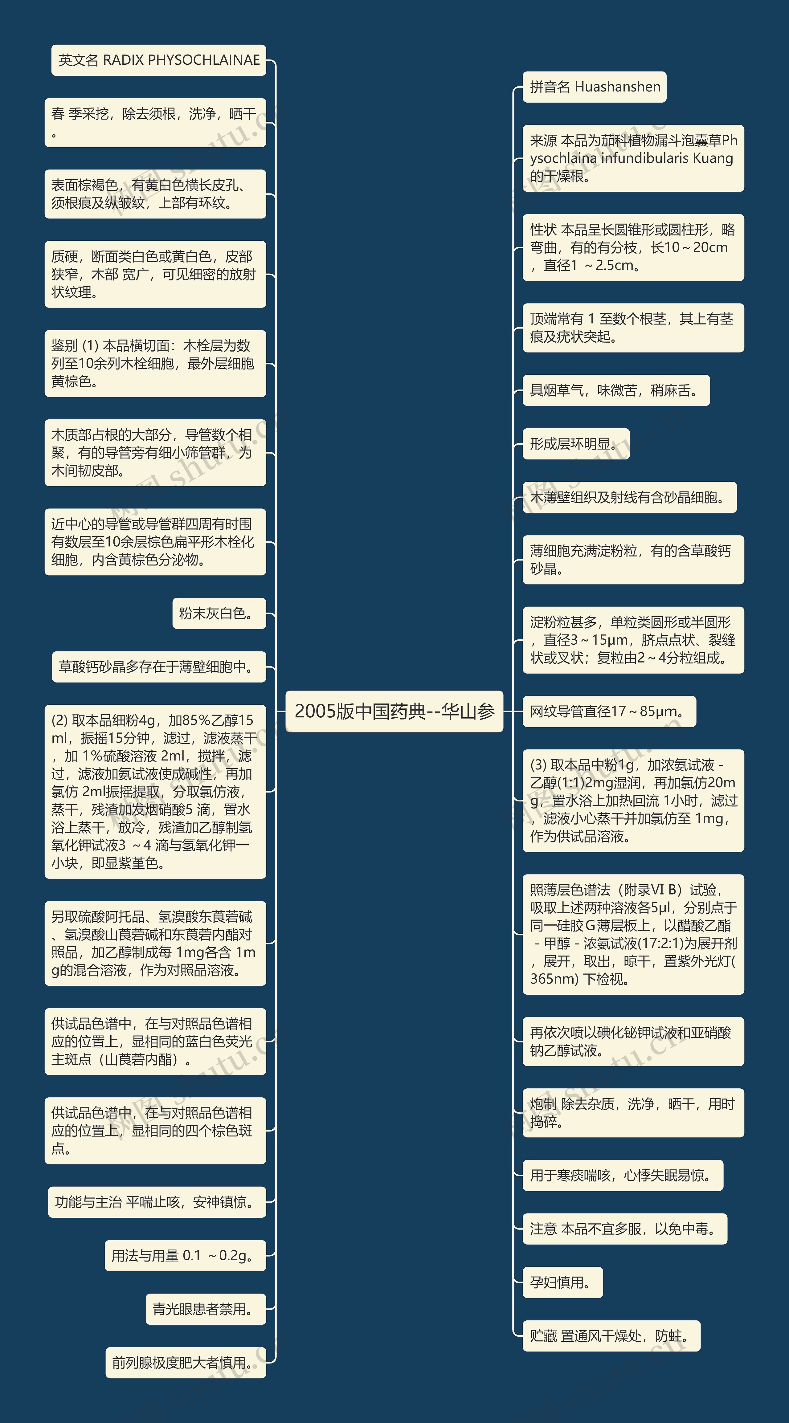 2005版中国药典--华山参思维导图