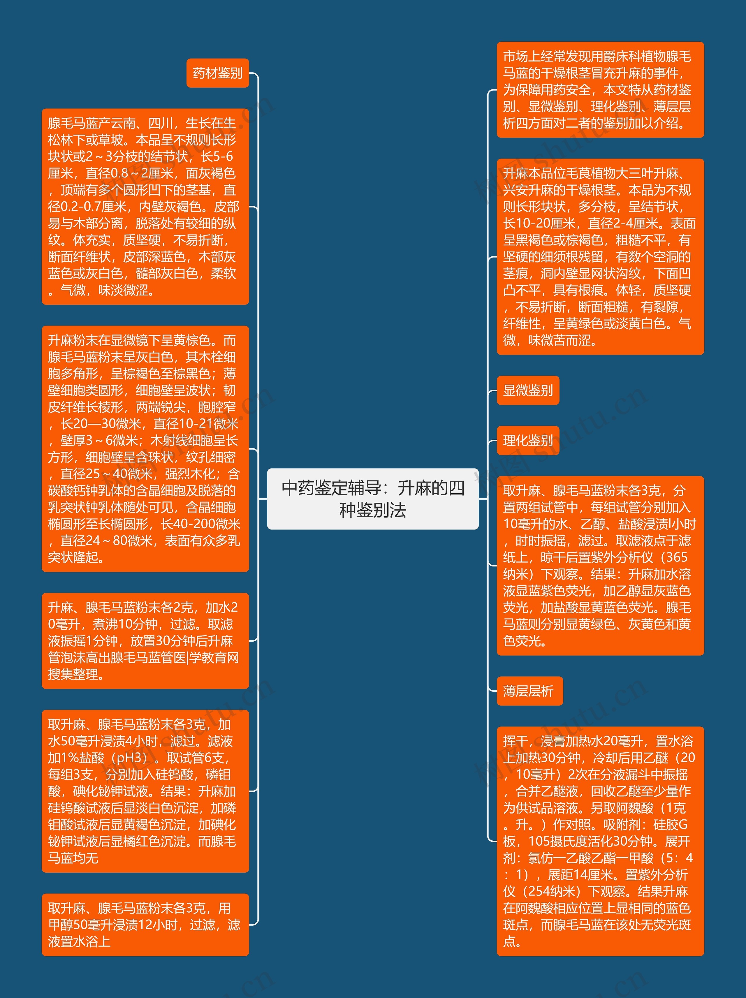 中药鉴定辅导：升麻的四种鉴别法思维导图