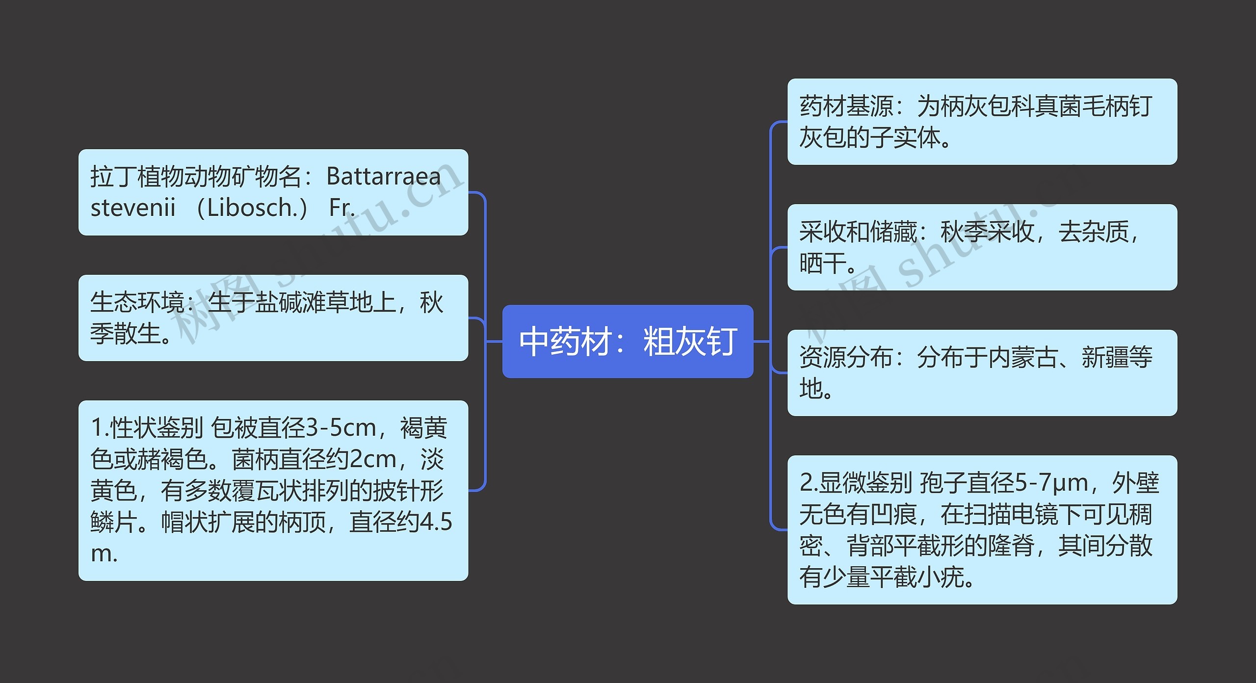 中药材：粗灰钉思维导图