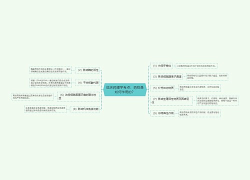 临床药理学考点：药物是如何作用的？