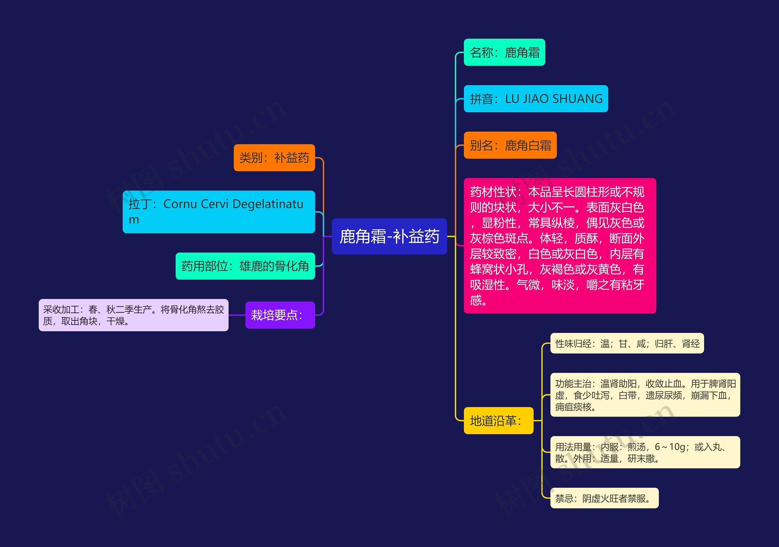 鹿角霜-补益药思维导图