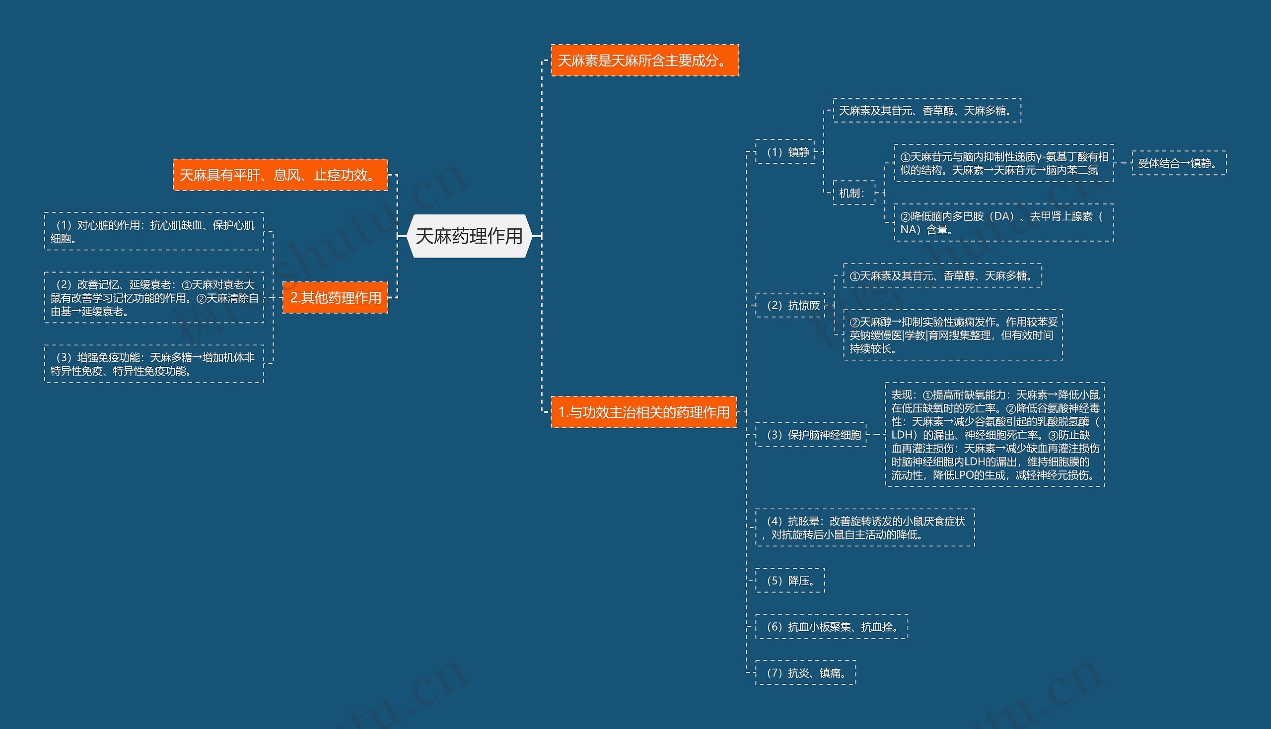 天麻药理作用思维导图