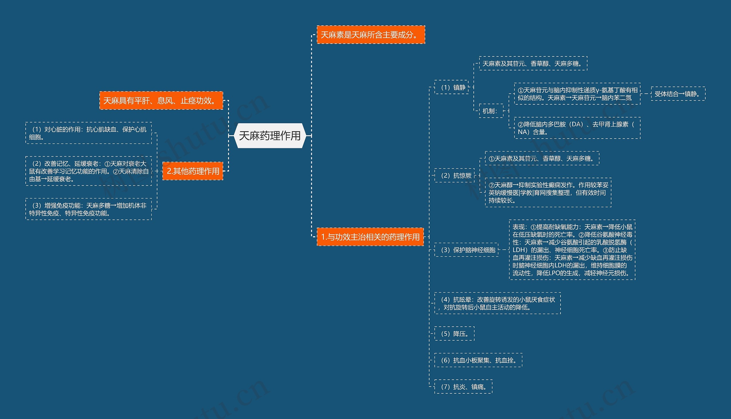 天麻药理作用 天麻药理作用