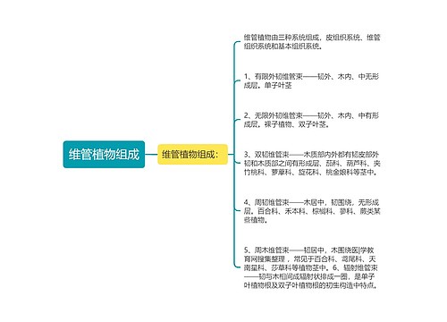 维管植物组成