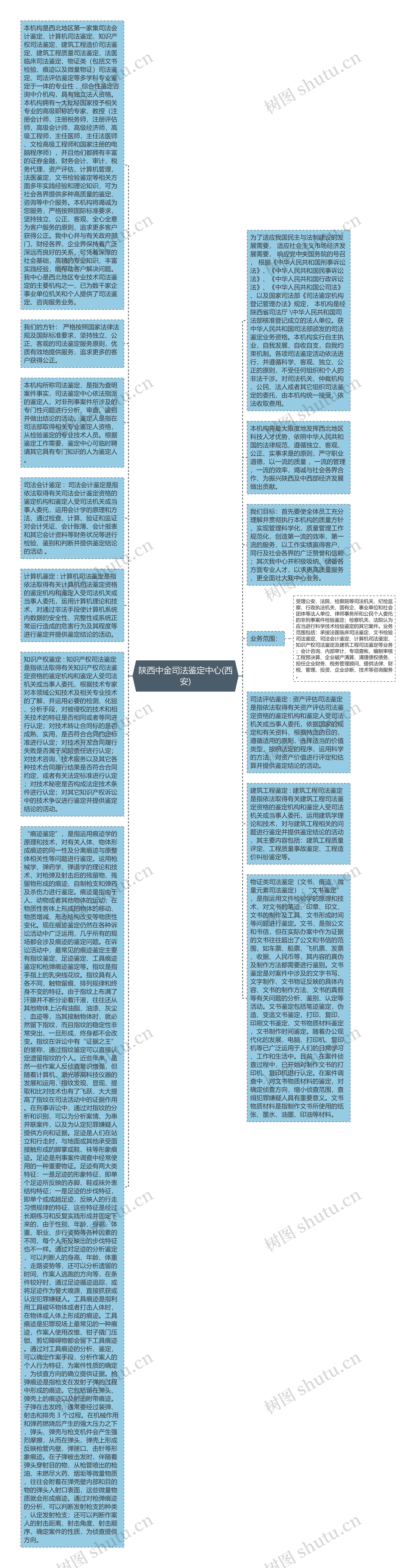 陕西中金司法鉴定中心(西安)思维导图