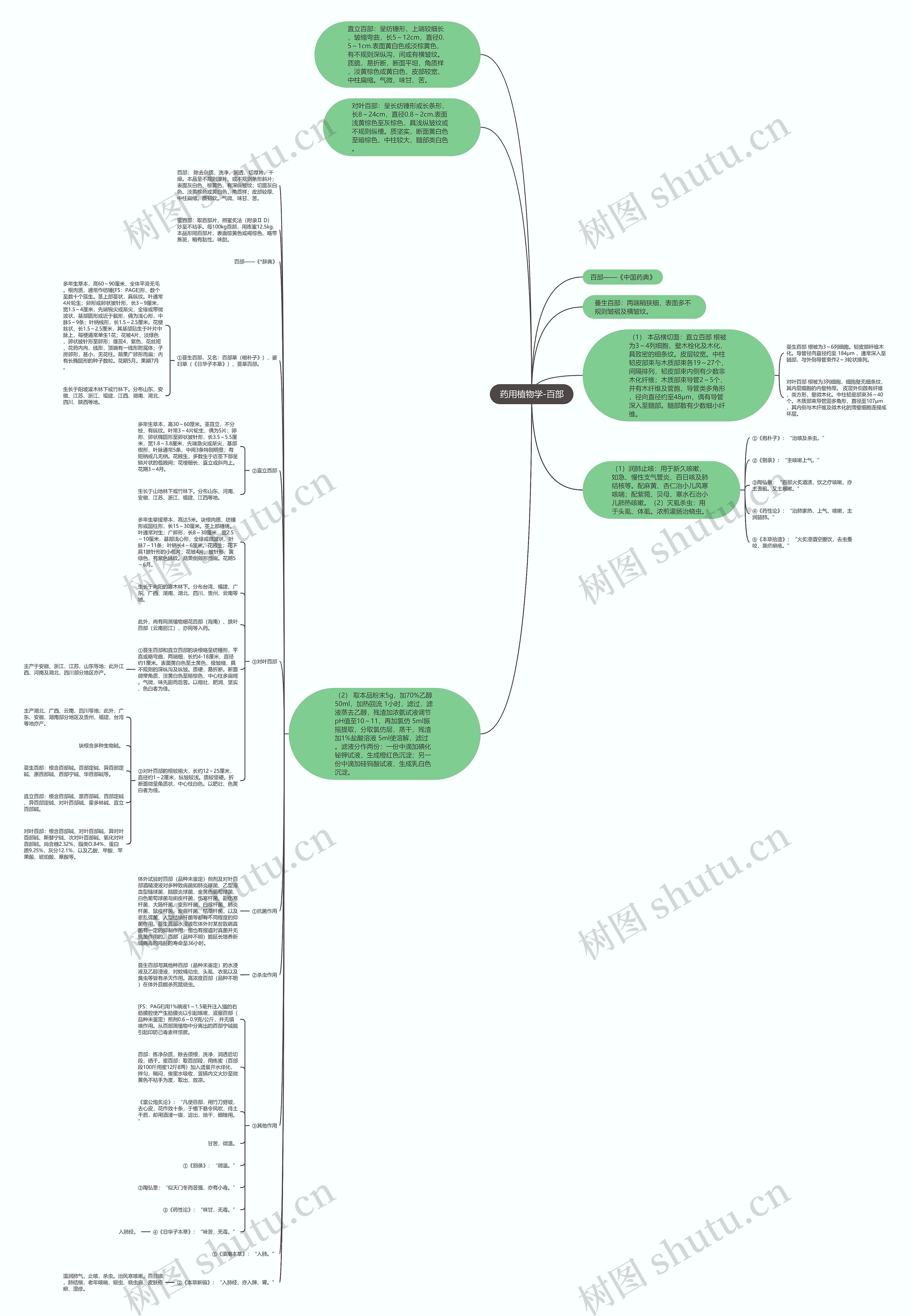 药用植物学-百部思维导图