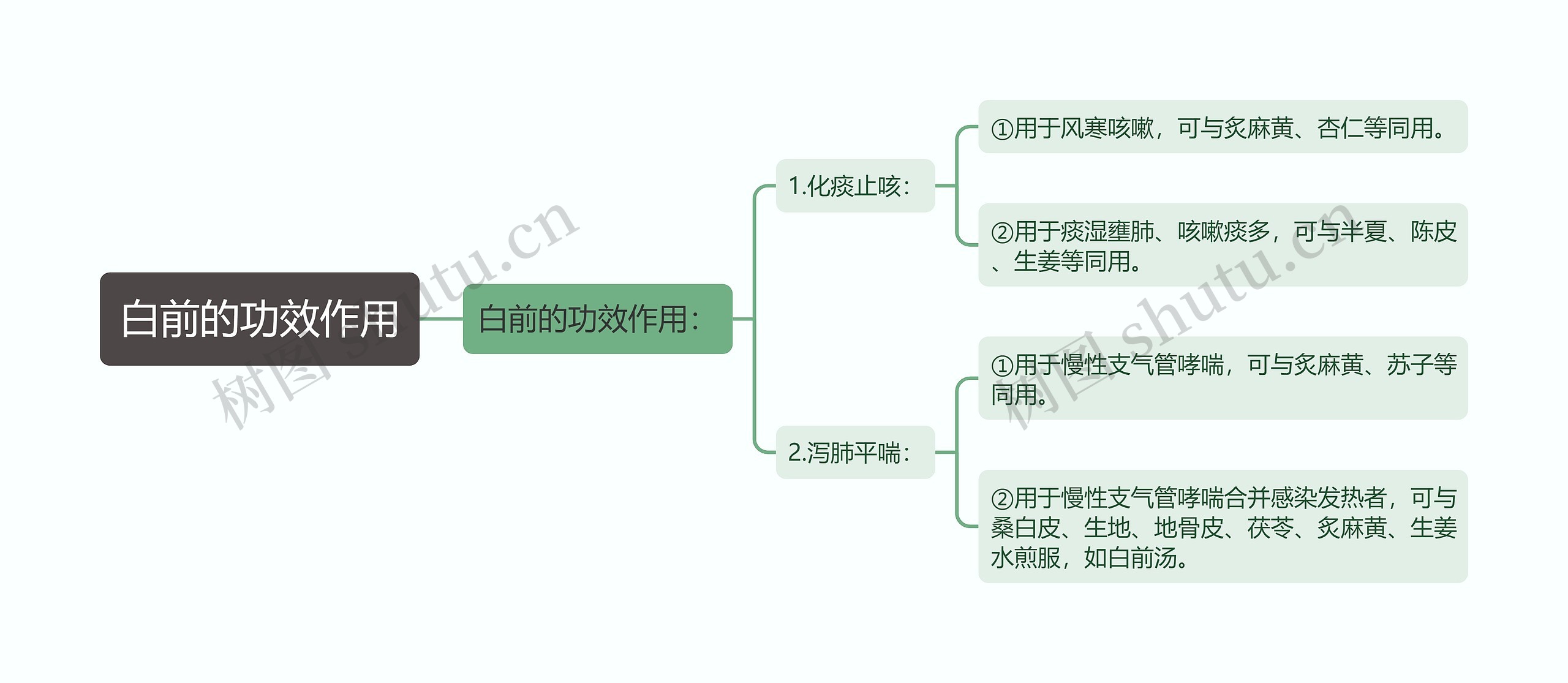 白前的功效作用思维导图