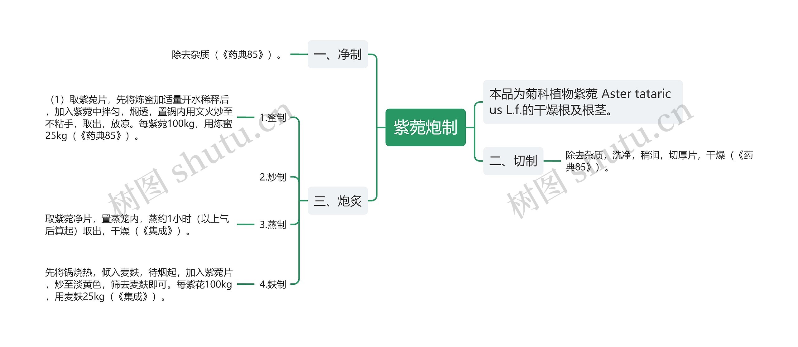 紫菀炮制思维导图