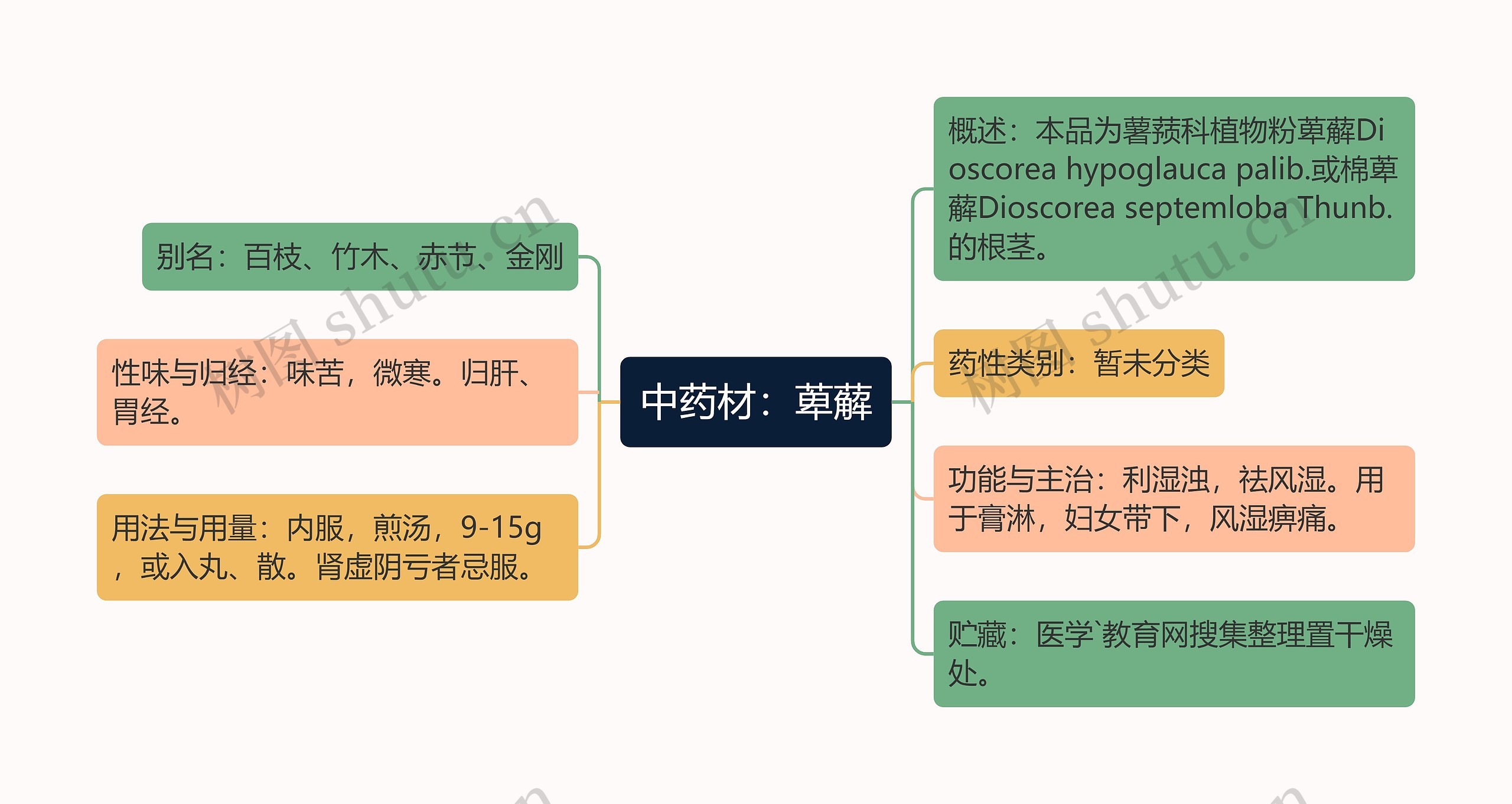 中药材：萆薢思维导图