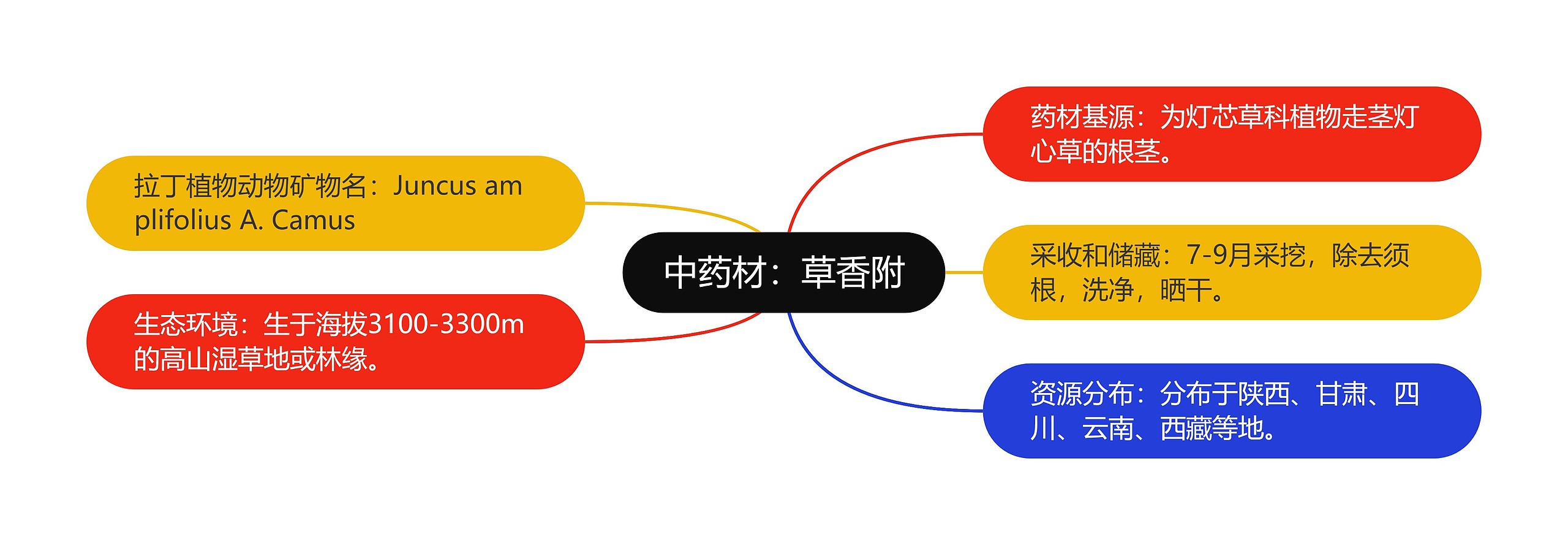 中药材:草香附 中药材:草香附