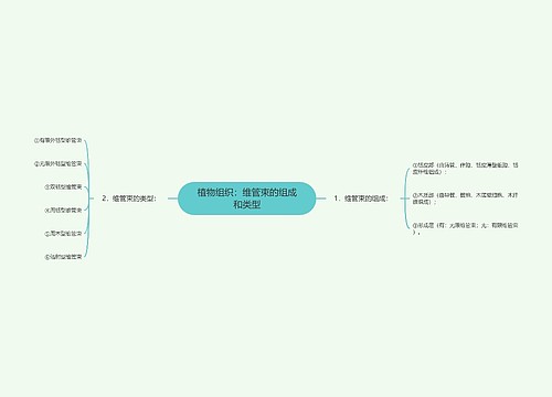 植物组织：维管束的组成和类型