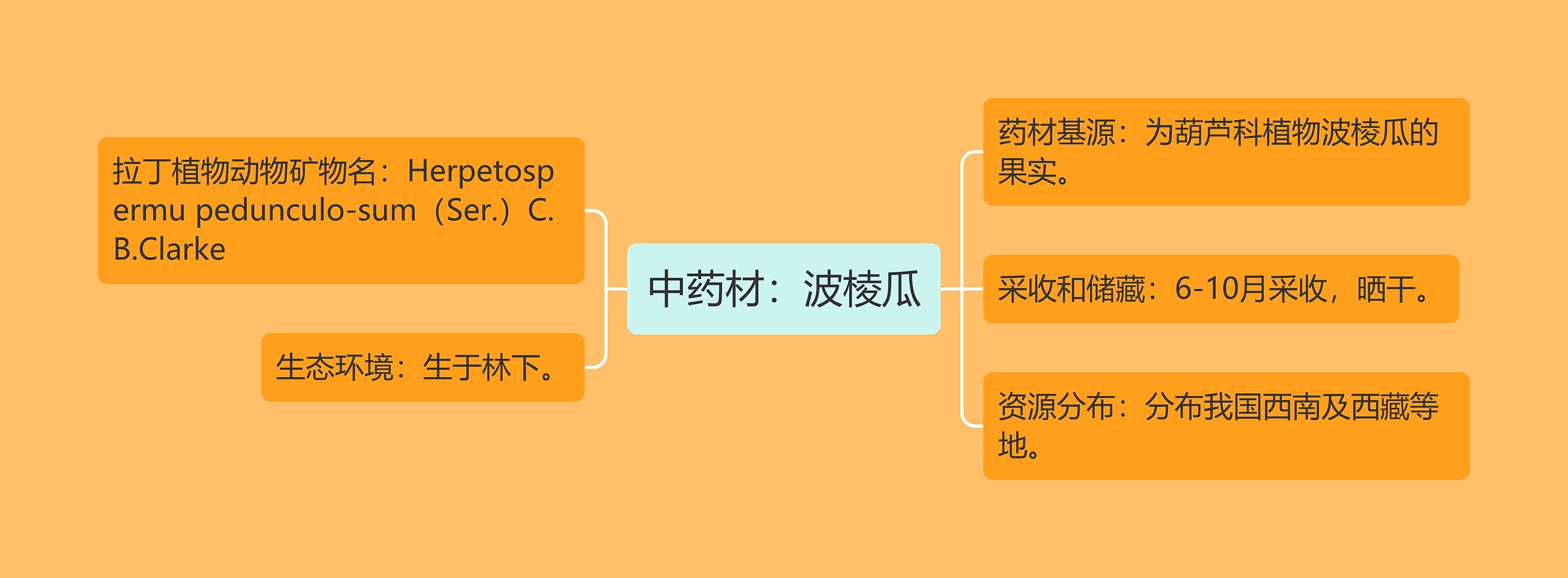 中药材：波棱瓜思维导图