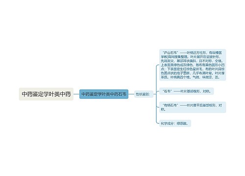 中药鉴定学叶类中药