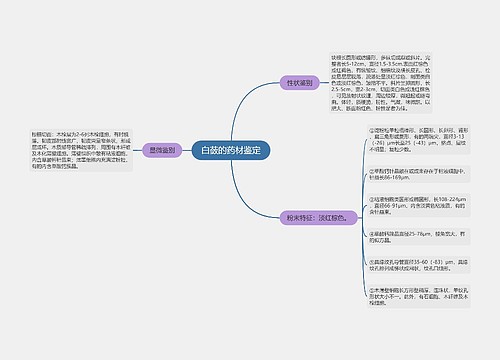 白蔹的药材鉴定