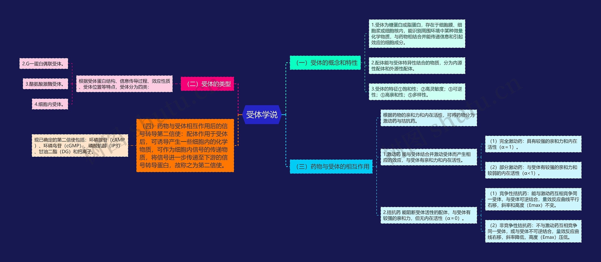 受体学说思维导图