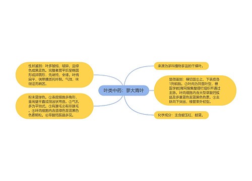 叶类中药：蓼大青叶思维导图