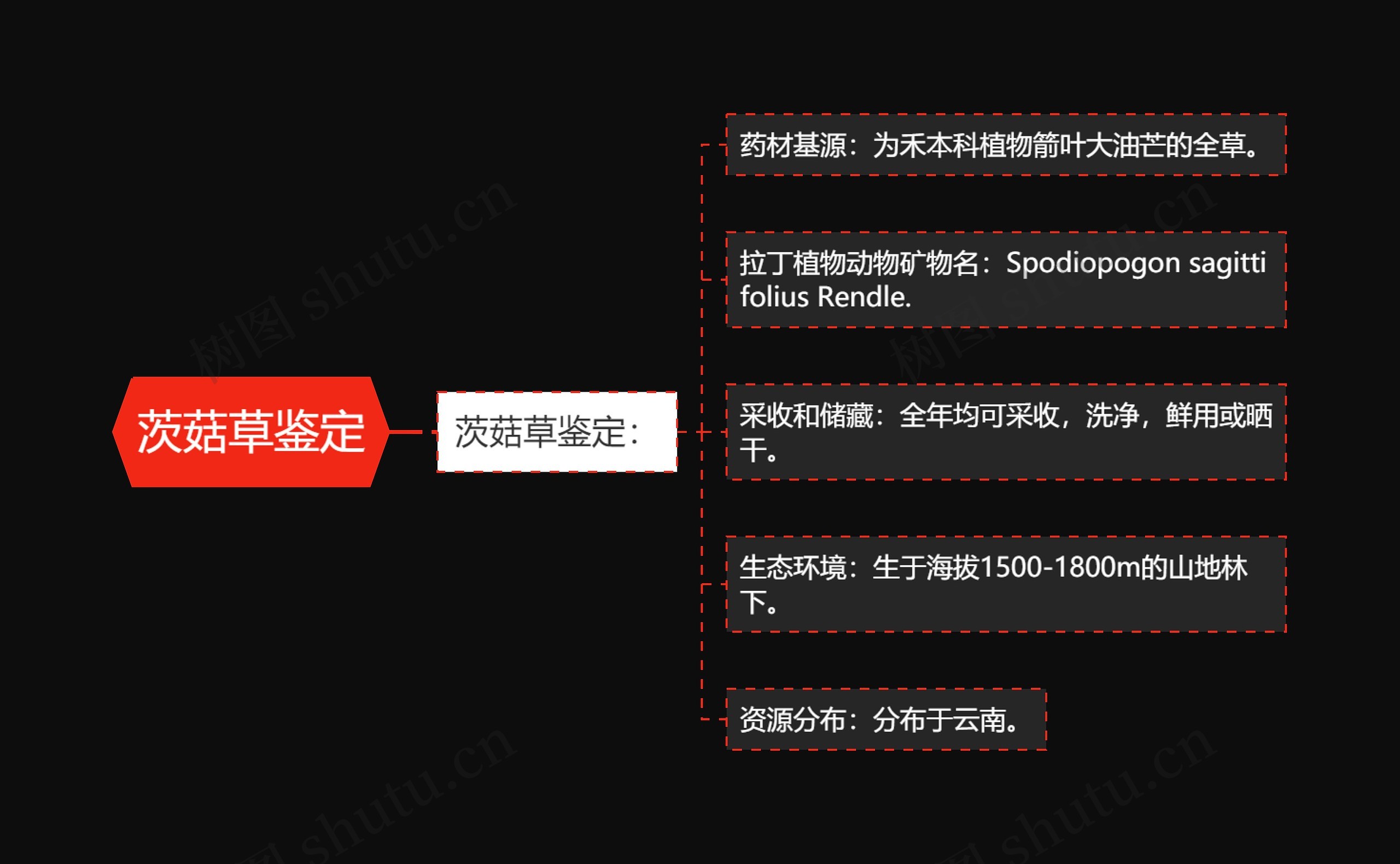 茨菇草鉴定 茨菇草鉴定