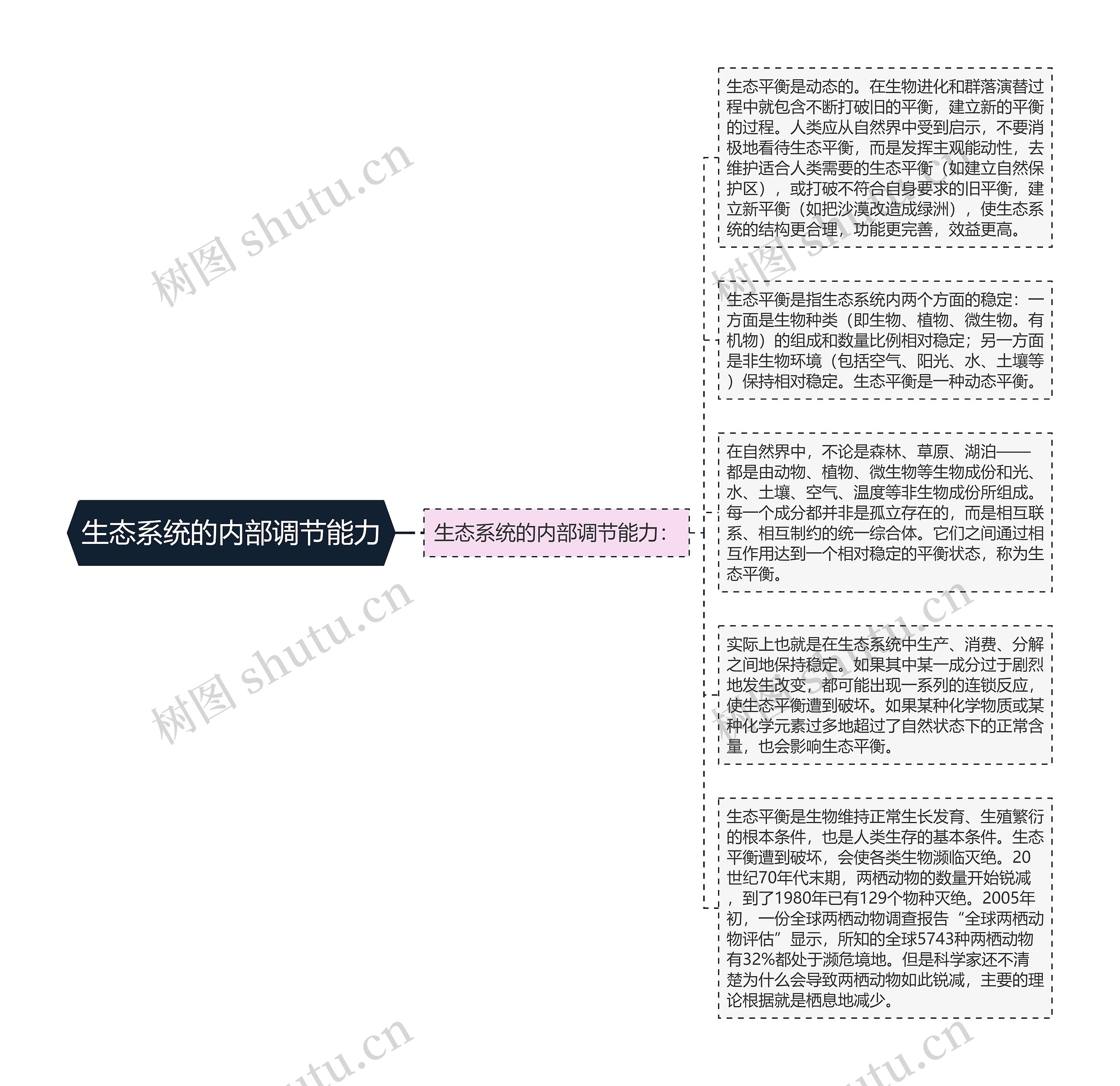 生态系统的内部调节能力思维导图