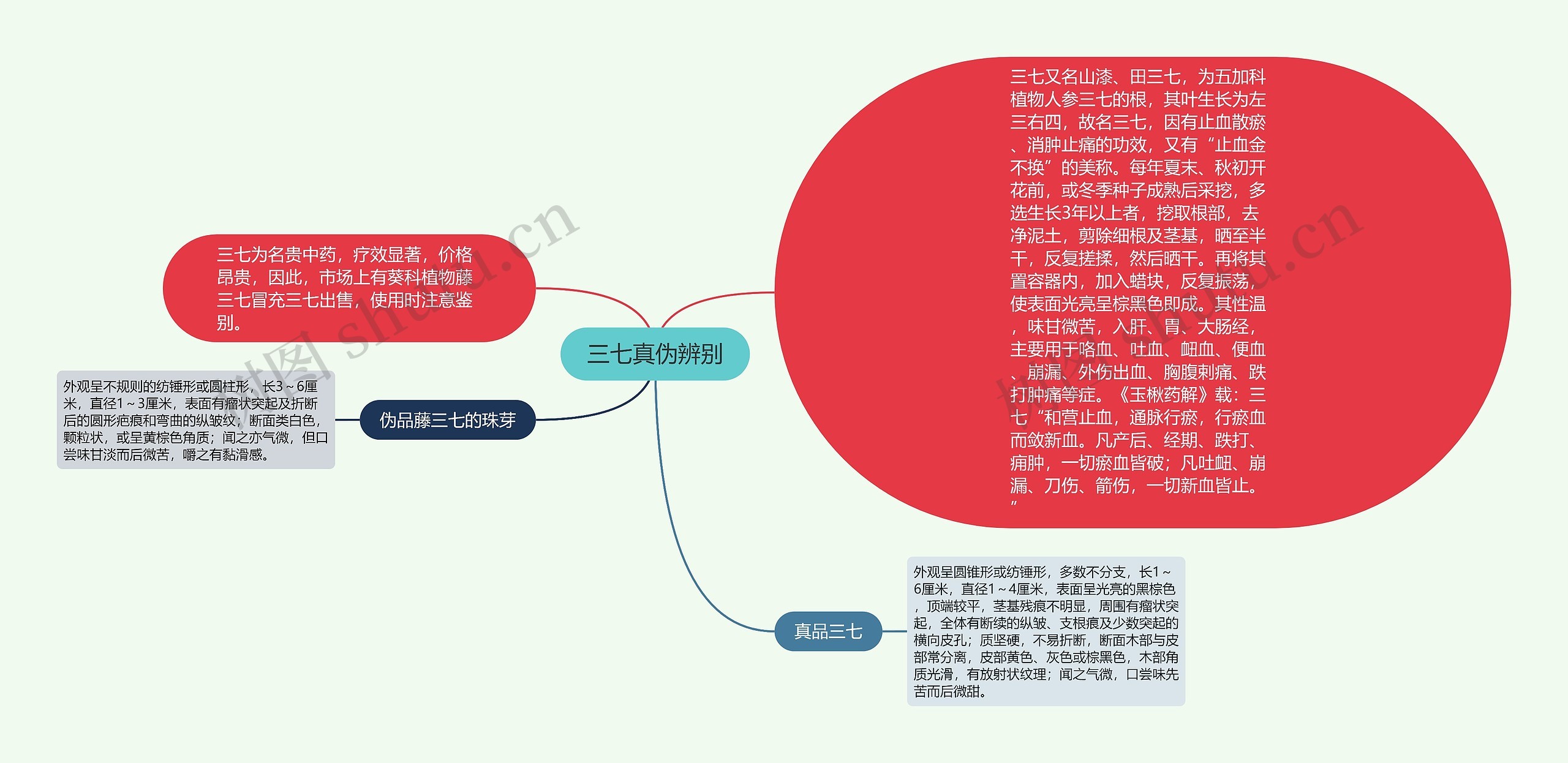 三七真伪辨别思维导图