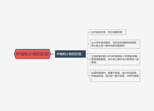 叶轴和小枝的区别