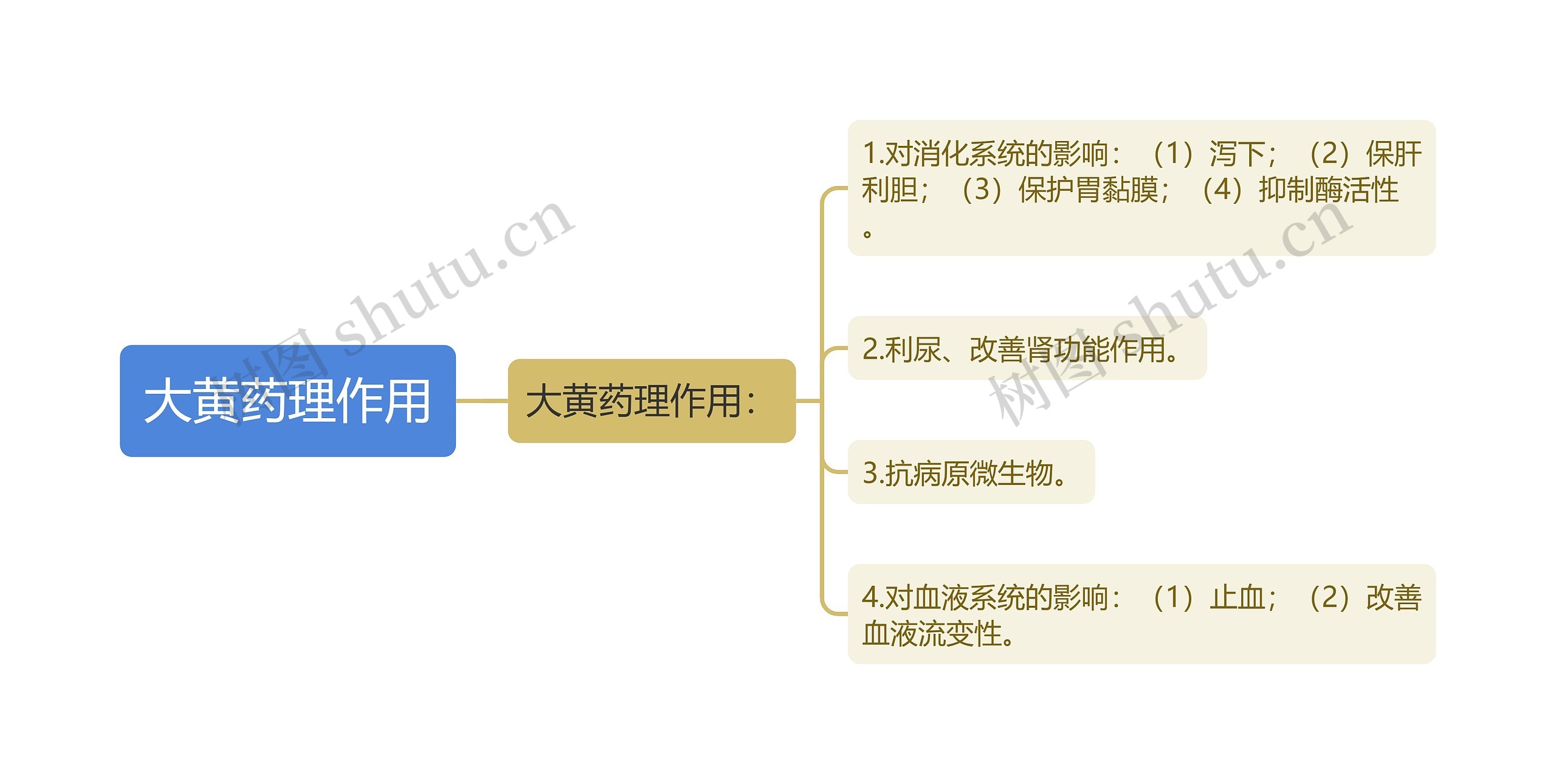 大黄药理作用思维导图