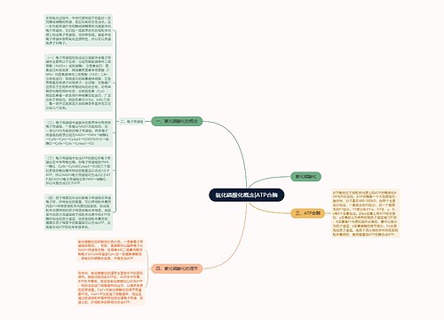 氧化磷酸化概念|ATP合酶