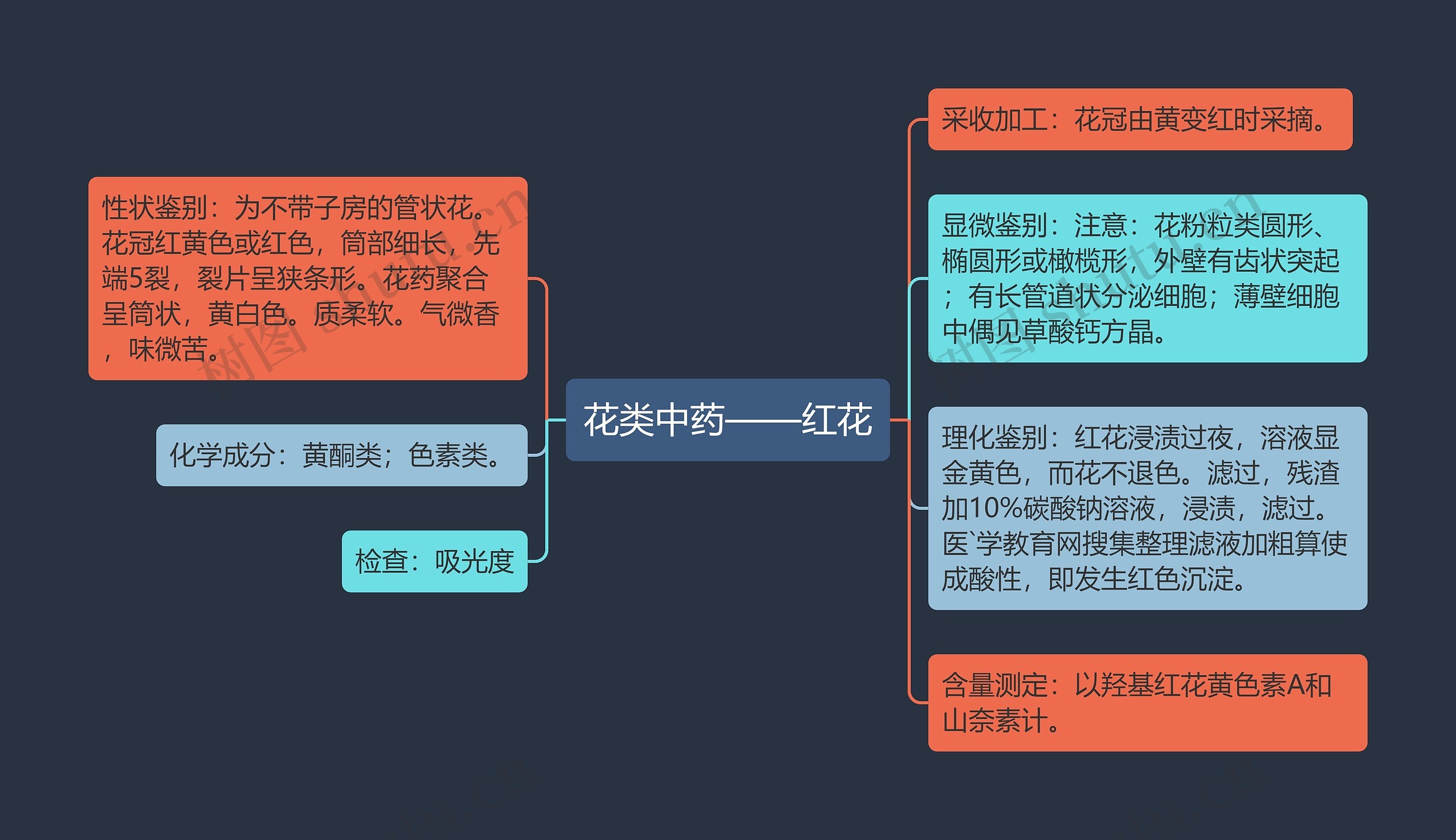 花类中药——红花