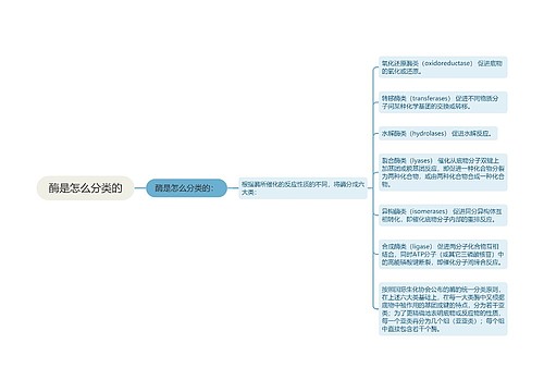 酶是怎么分类的