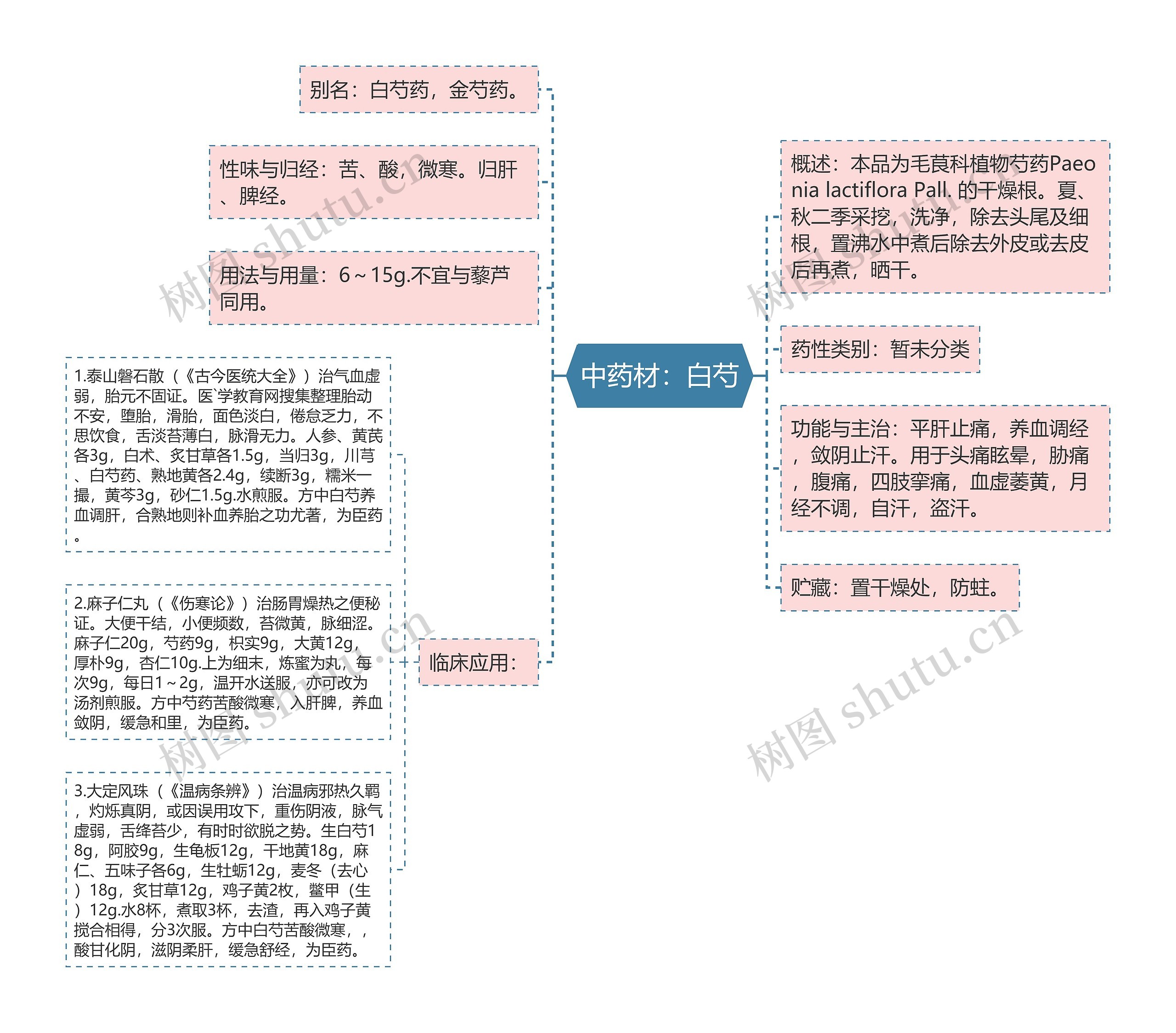 中药材：白芍思维导图