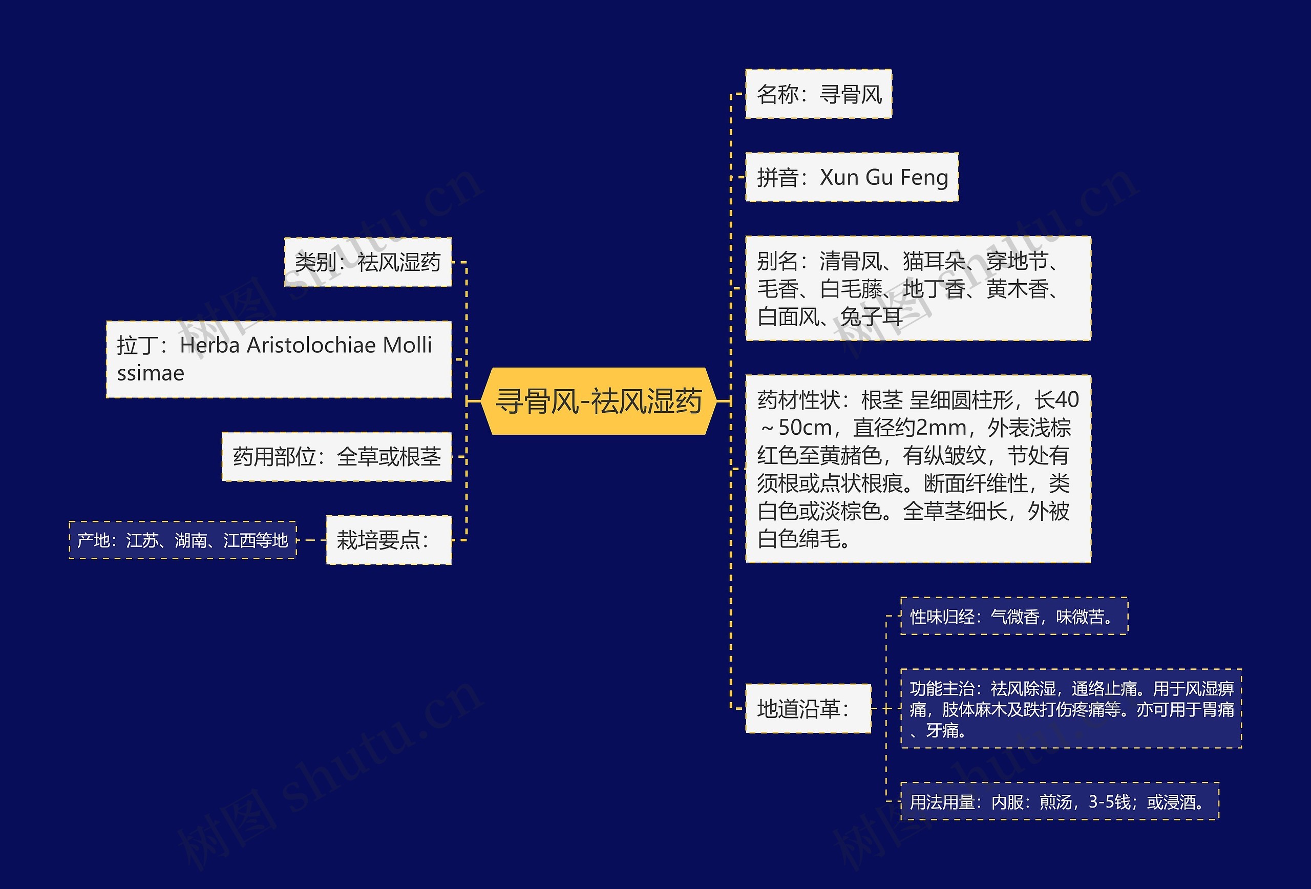 寻骨风-祛风湿药 寻骨风-祛风湿药