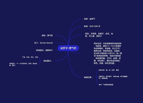 娑罗子-理气药