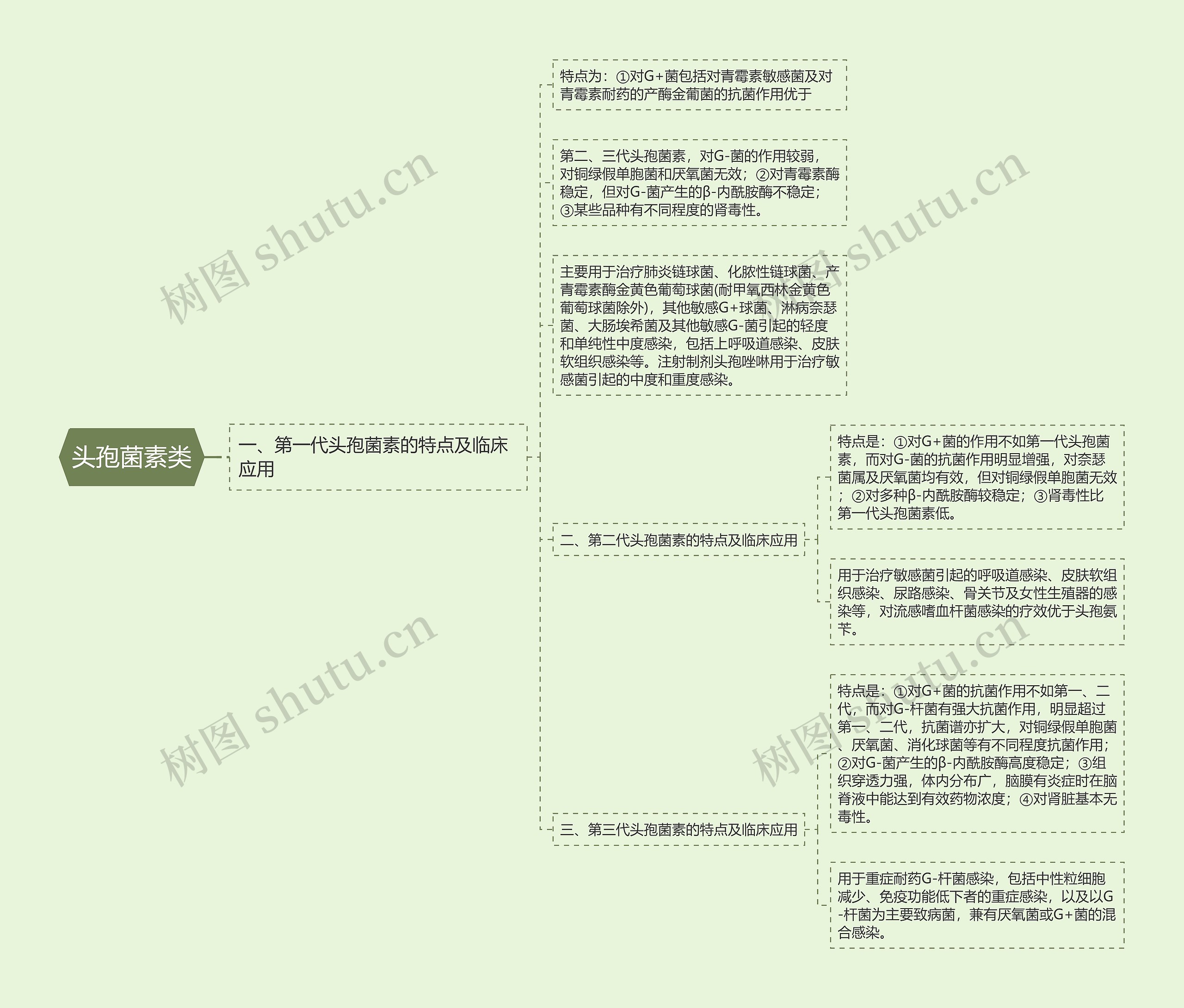 头孢菌素类思维导图