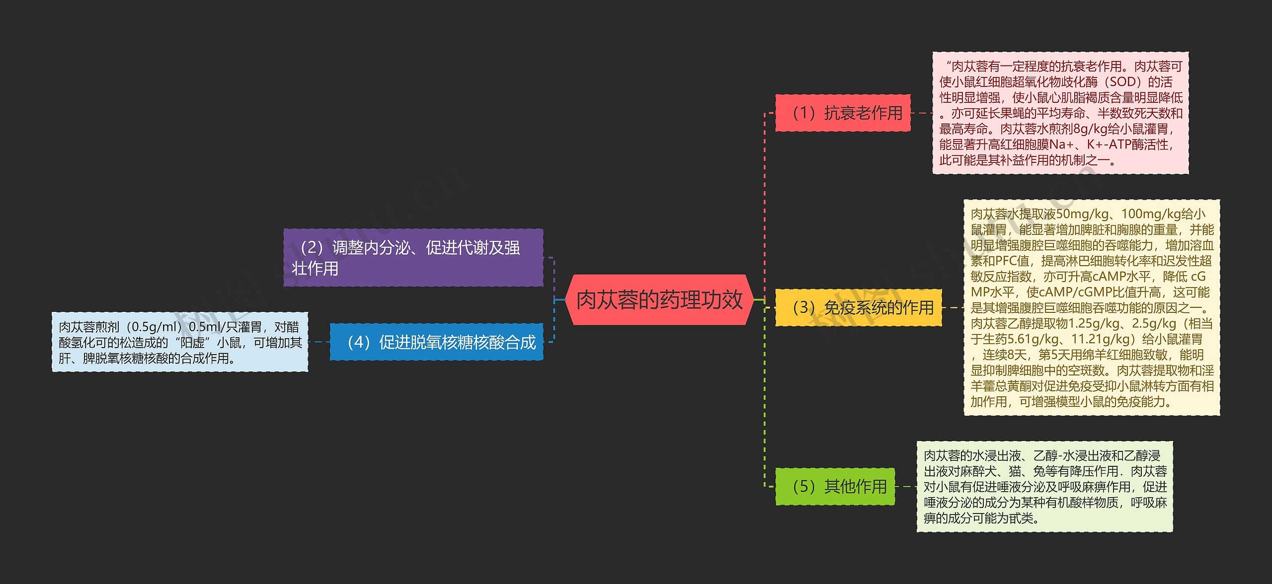 肉苁蓉的药理功效 肉苁蓉的药理功效