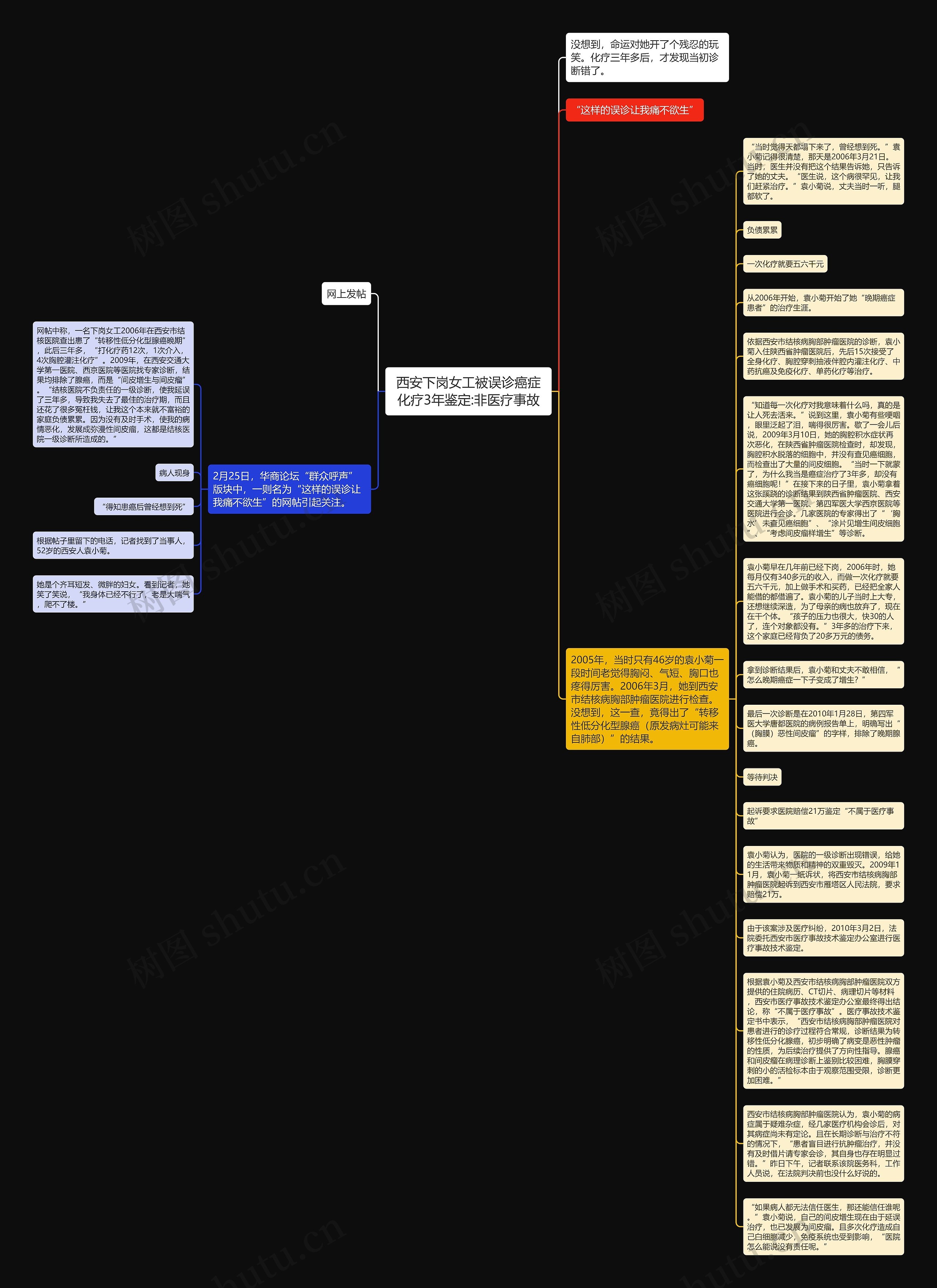 西安下岗女工被误诊癌症化疗3年鉴定:非医疗事故思维导图