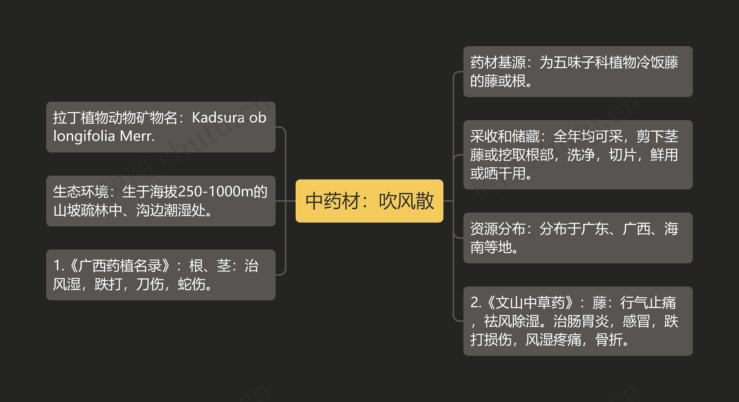 中药材：吹风散思维导图