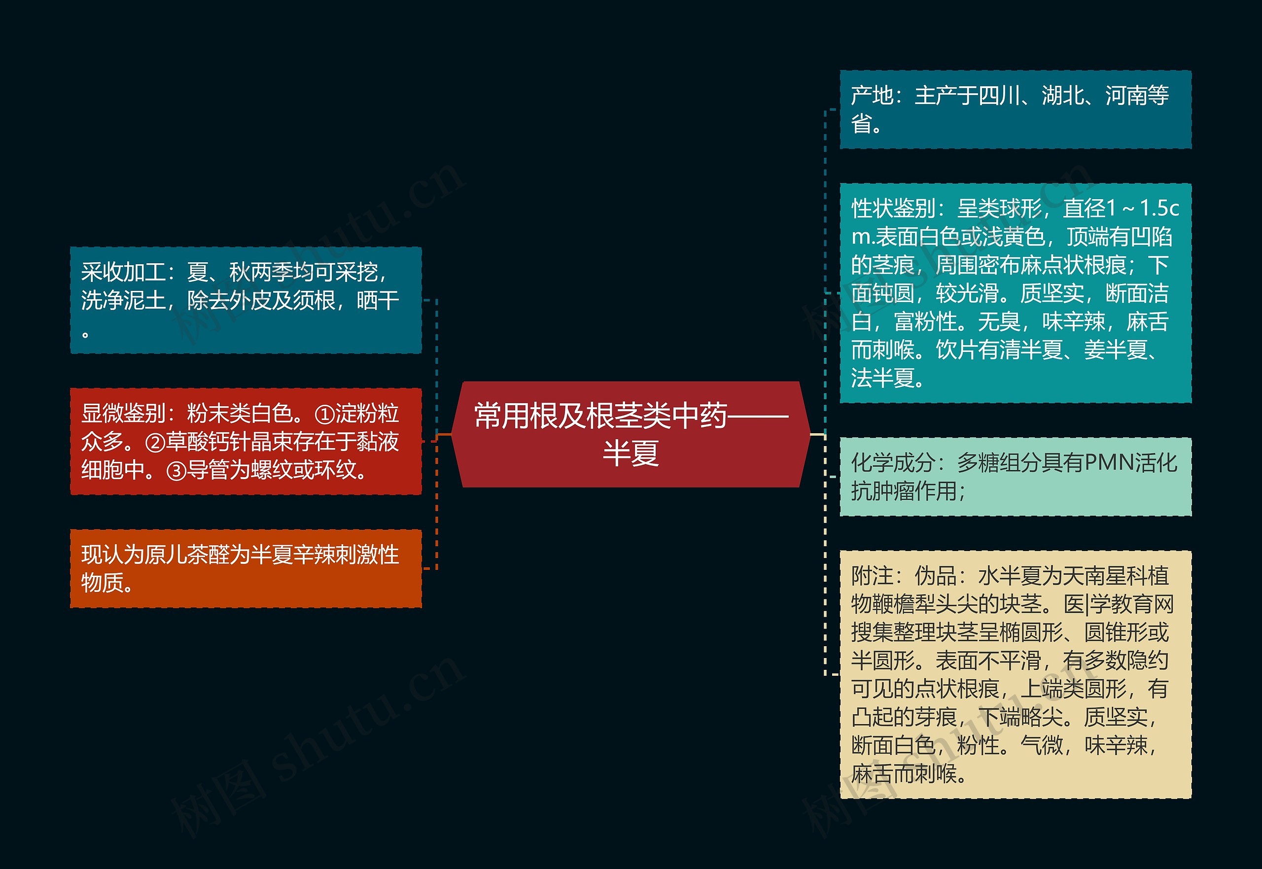 常用根及根茎类中药——半夏 常用根及根茎类中药——半夏