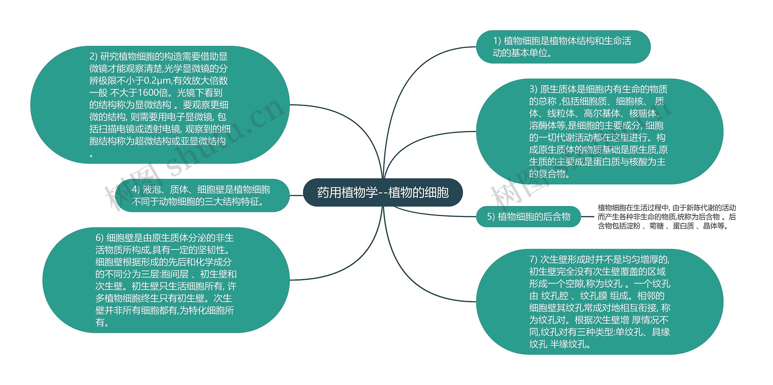 药用植物学--植物的细胞思维导图