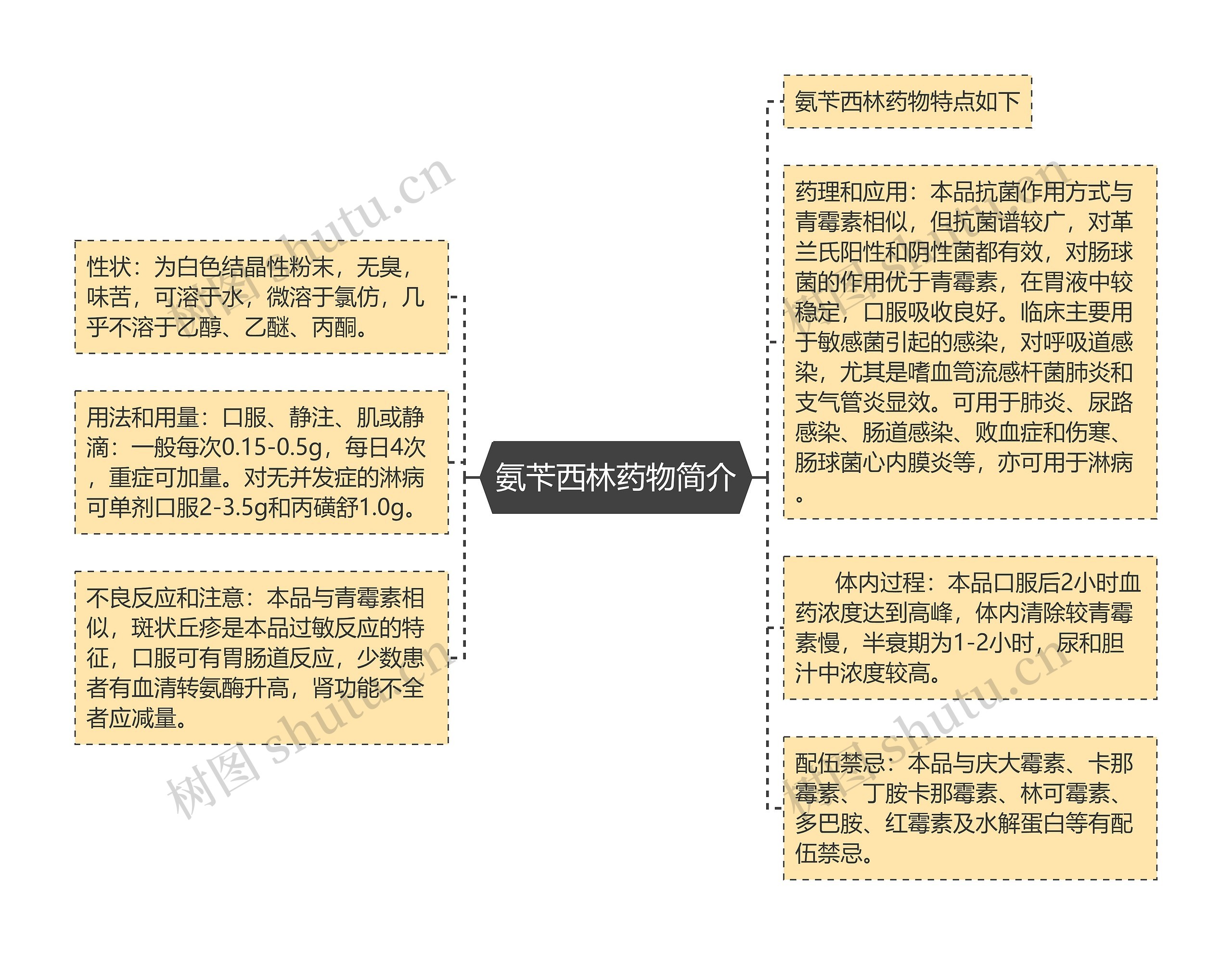 氨苄西林药物简介思维导图