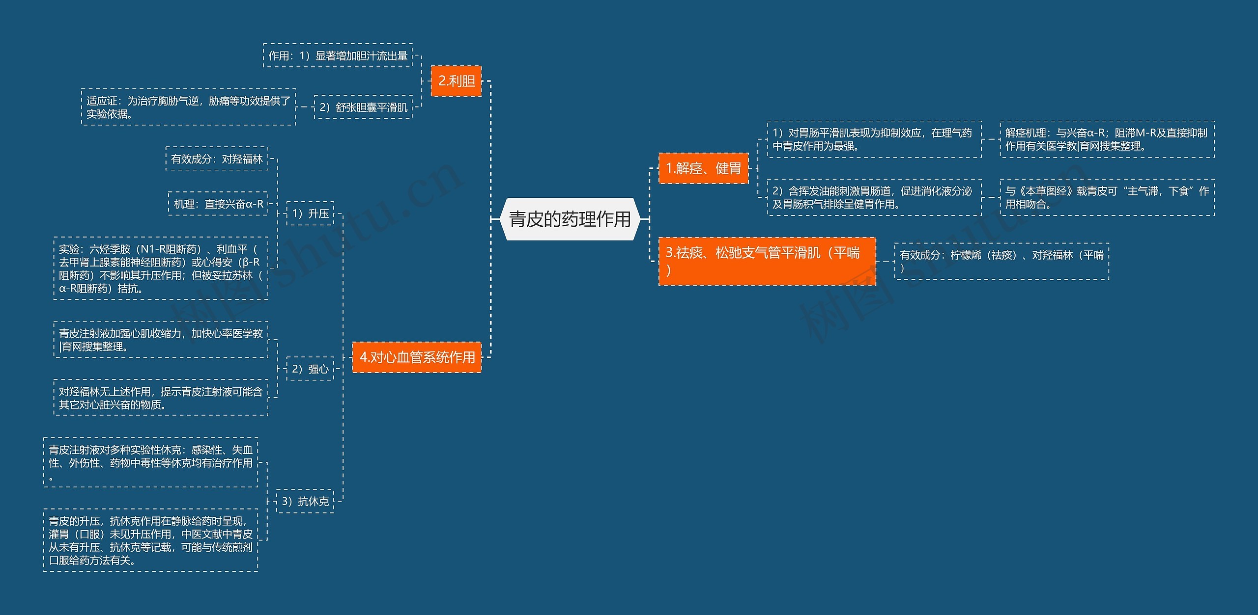 青皮的药理作用思维导图