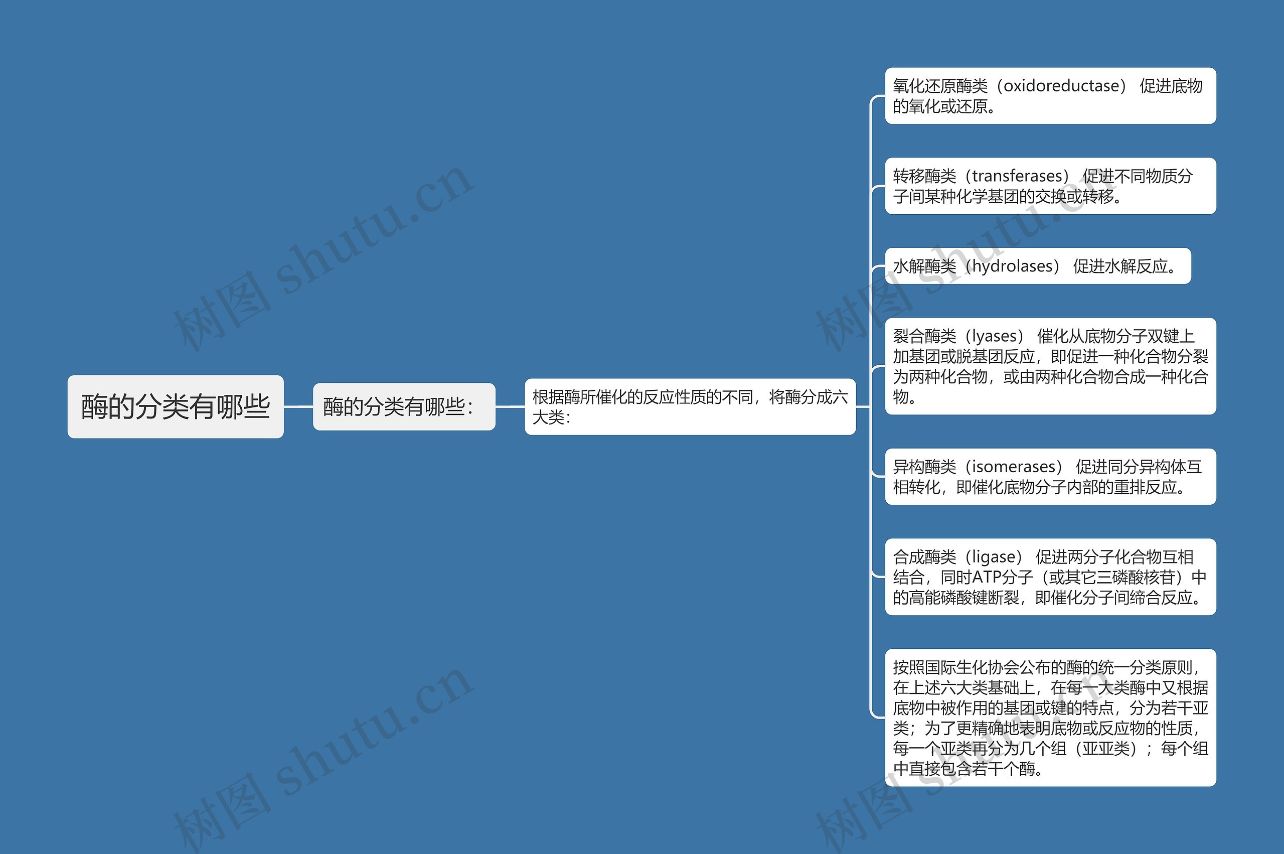 酶的分类有哪些思维导图