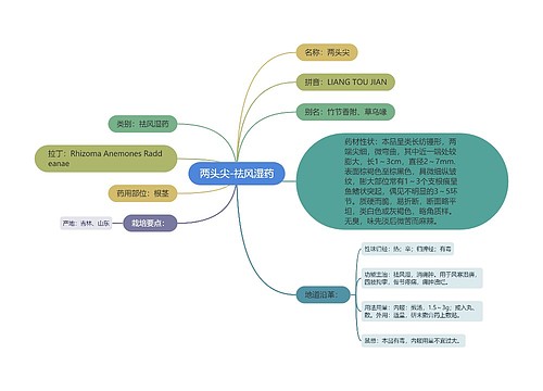 两头尖-祛风湿药